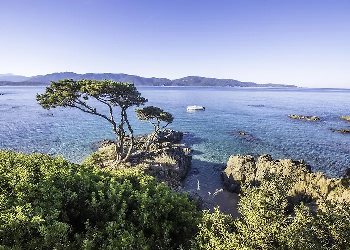Cantu Di Mare Olmeto (Corsica)